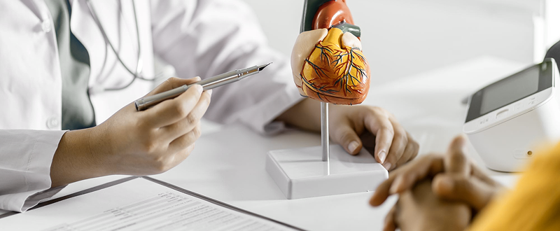 Prevenção Cardiovascular